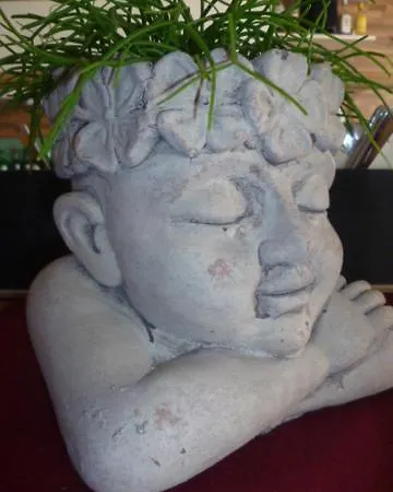 Guest house Edelweiss Alpine