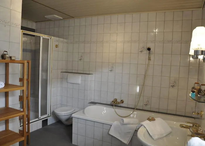 Penzion & Restaurant Edelweiss Alpine 3*