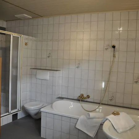 Guest house Edelweiss Alpine 3*